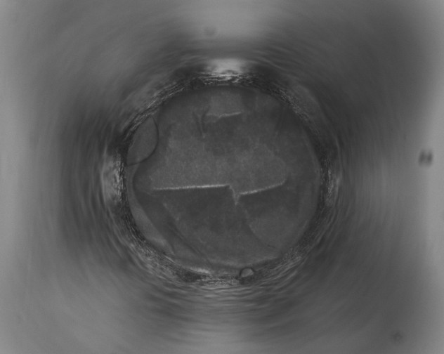 X0000115301394200911161646