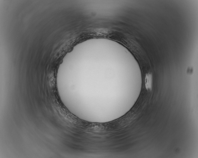 X0000115301395200911161646