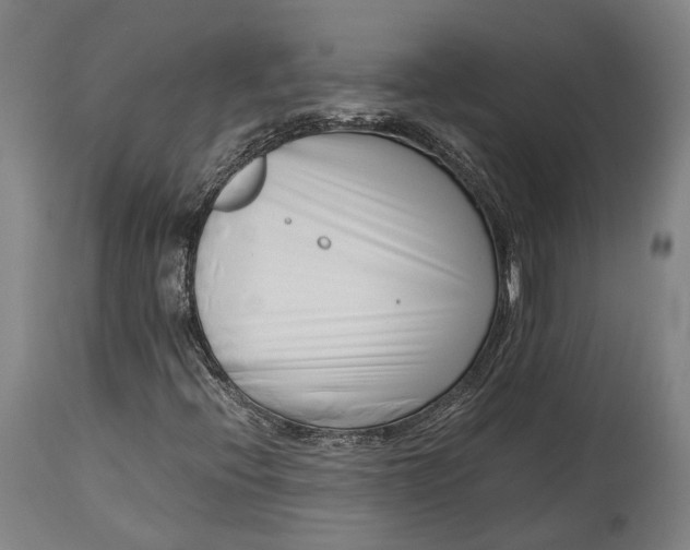 X0000115301396200911161646