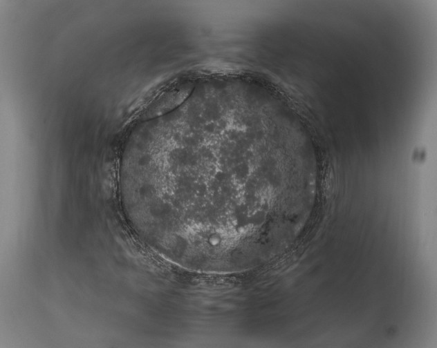 X0000115301397200911161646