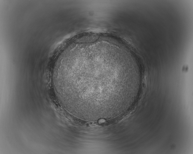 X0000115301398200911161646