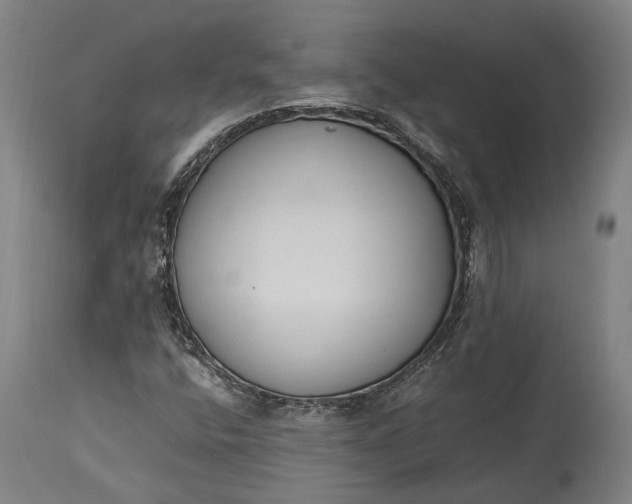 X0000115301400200911161646