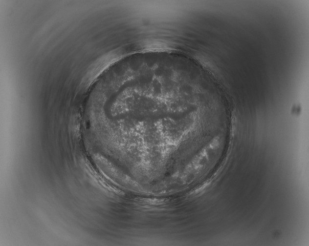 X0000115301401200911161646