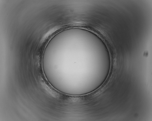 X0000115301402200911161646