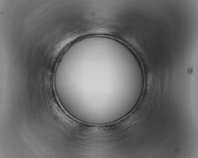 X0000115301404200911161646