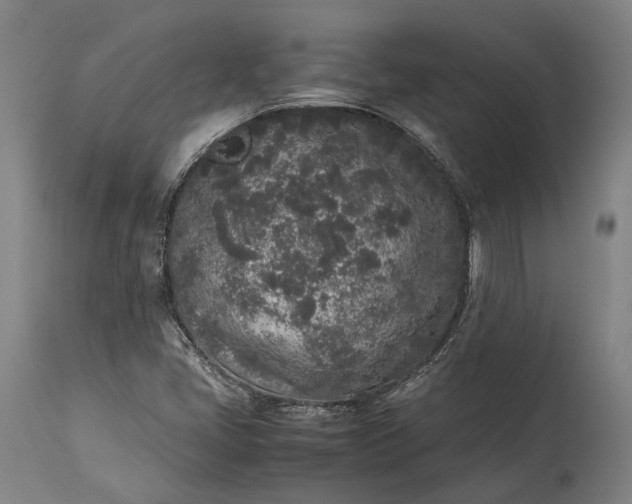 X0000115301405200911161646