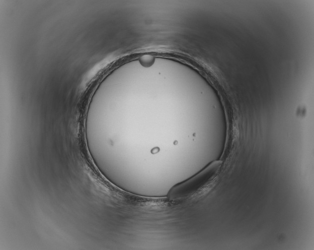 X0000115301406200911161646