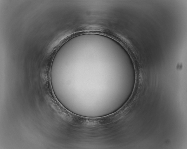 X0000115301407200911161646