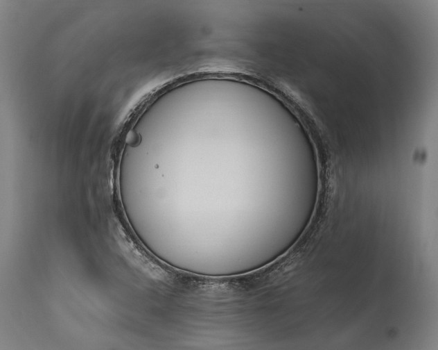 X0000115301408200911161646