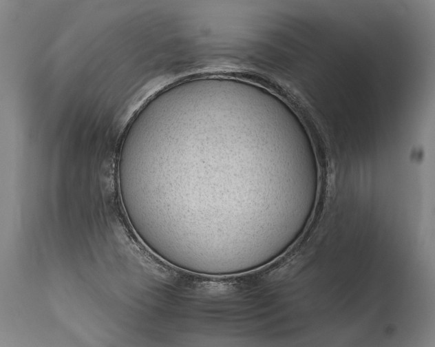 X0000115301409200911161646