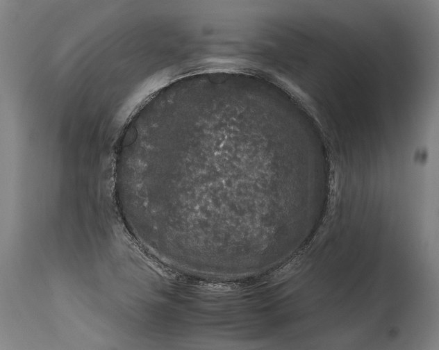 X0000115301411200911161646