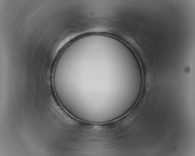 X0000115301412200911161646