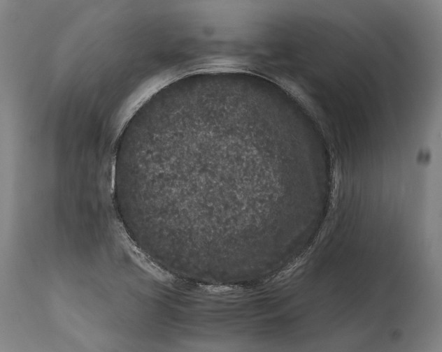 X0000115301413200911161646