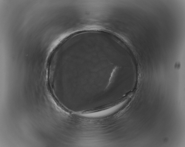 X0000115301414200911161646