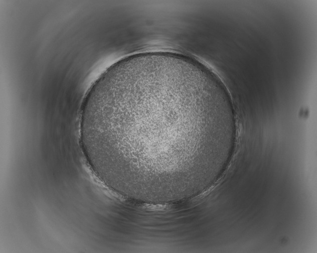 X0000115301415200911161647