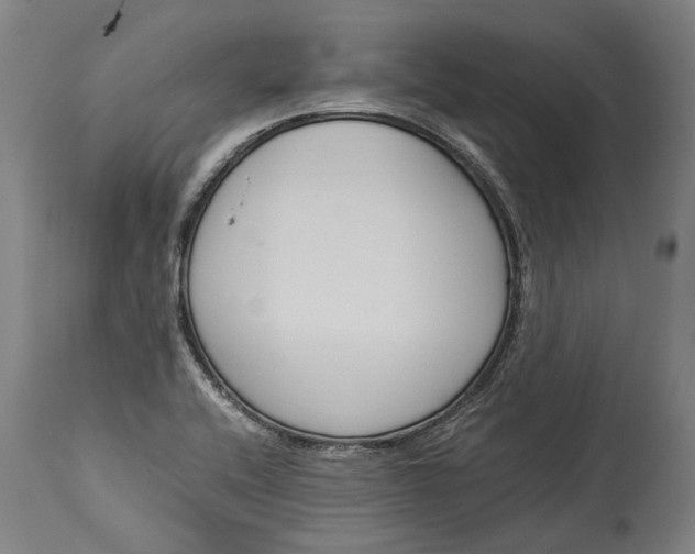 X0000115301416200911161647