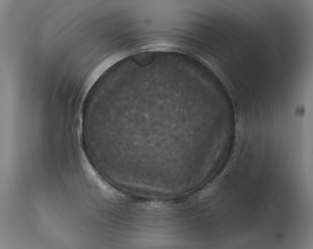 X0000115301418200911161647