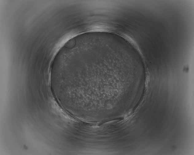 X0000115301419200911161647