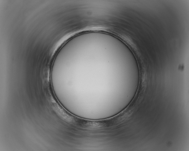 X0000115301420200911161647