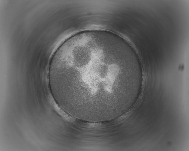 X0000115301421200911161647