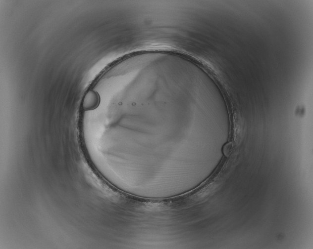 X0000115301422200911161647