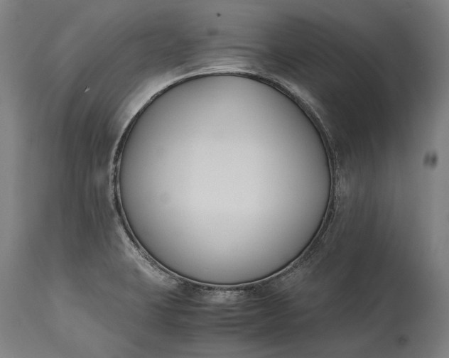 X0000115301423200911161647