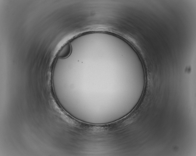 X0000115301424200911161647