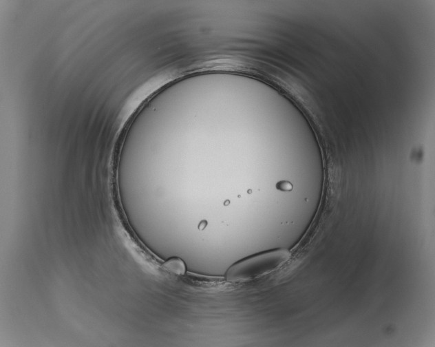 X0000115301426200911161647