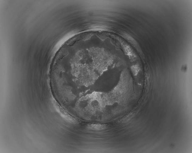 X0000115301427200911161647