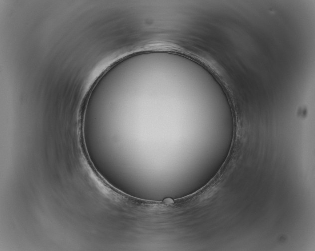 X0000115301430200911161647