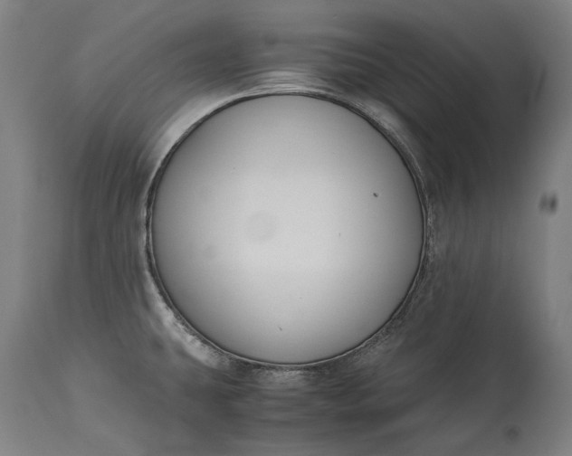 X0000115301431200911161647