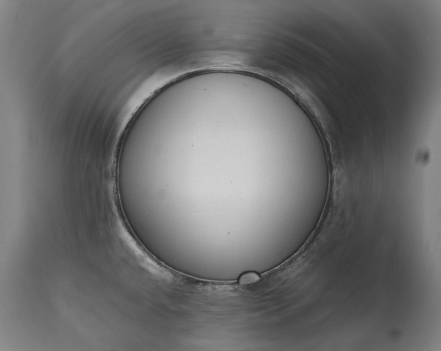 X0000115301432200911161647