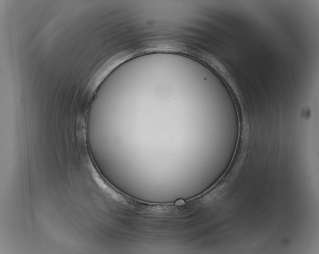 X0000115301433200911161647