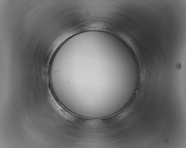 X0000115301434200911161647