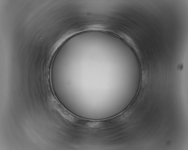 X0000115301435200911161647