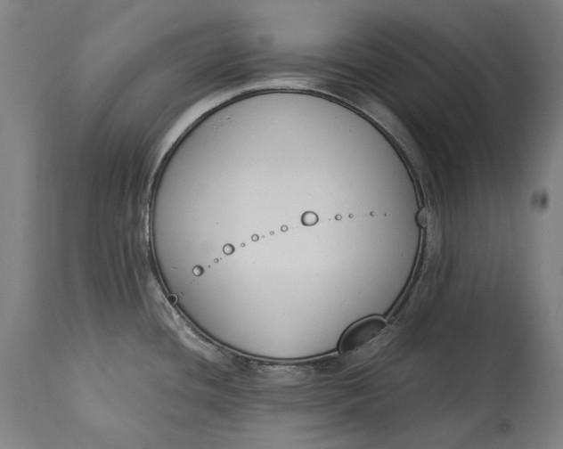 X0000115301436200911161647