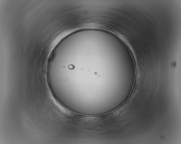 X0000115301437200911161647