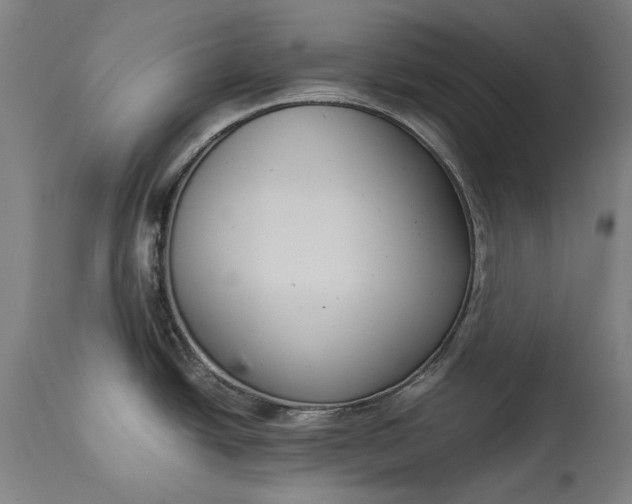 X0000115301438200911161647