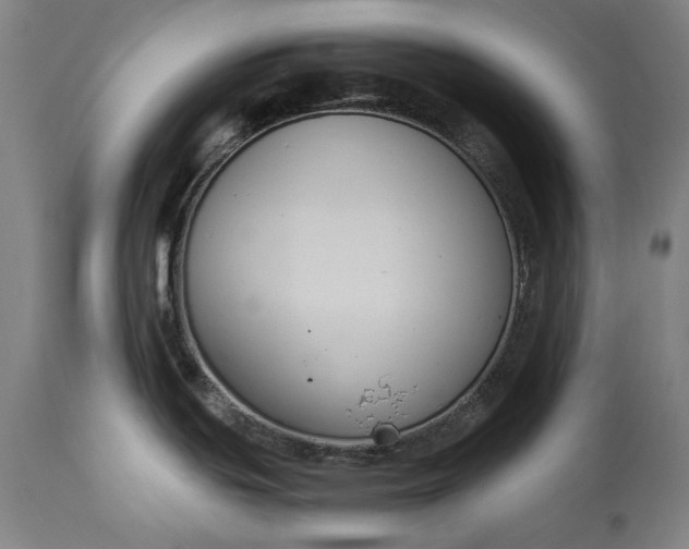 X0000115301439200911161647