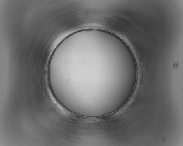 X0000115301440200911161647