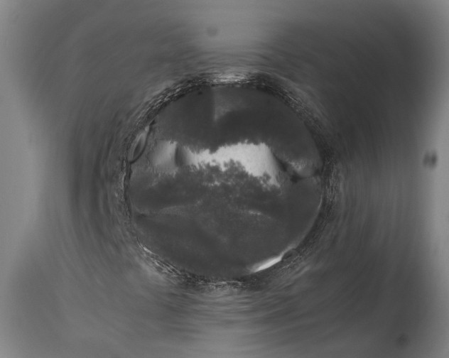 X0000115301441200911161646