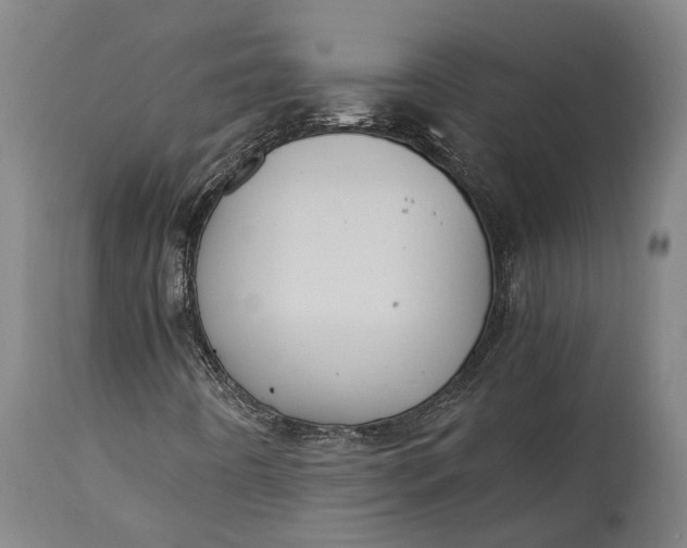 X0000115301442200911161646