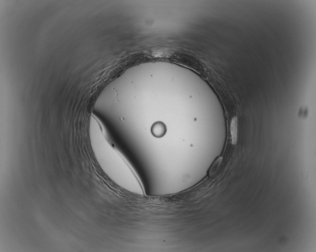 X0000115301443200911161646