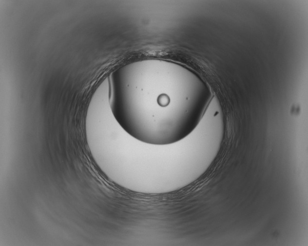 X0000115301444200911161646