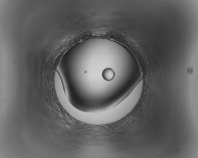 X0000115301445200911161646