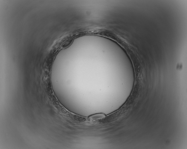 X0000115301447200911161646