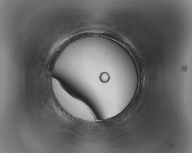 X0000115301448200911161646