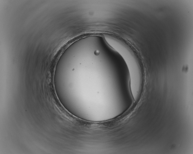 X0000115301449200911161646