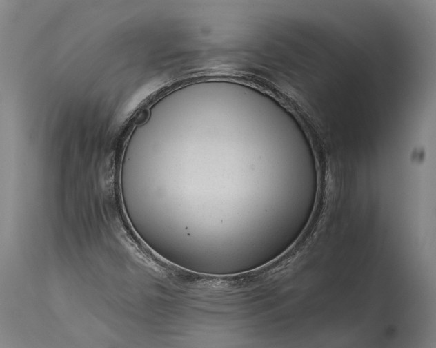 X0000115301450200911161646