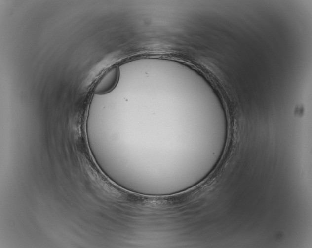 X0000115301451200911161646